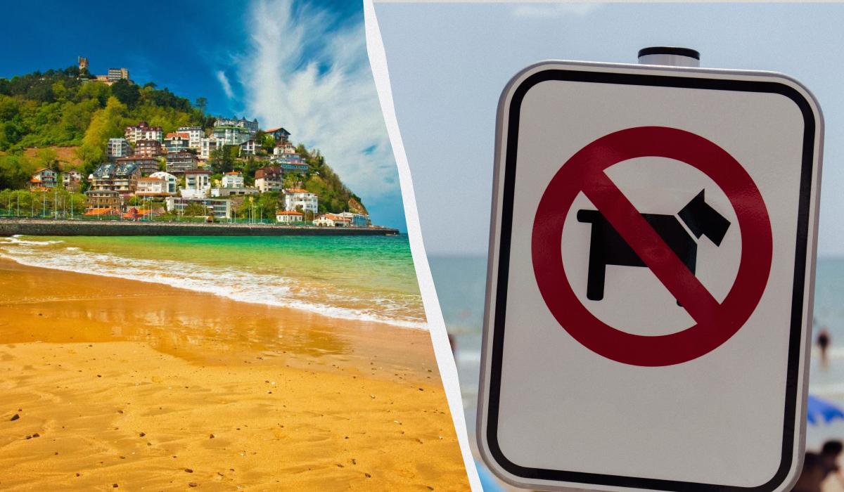 Візіком, maps API, карта,