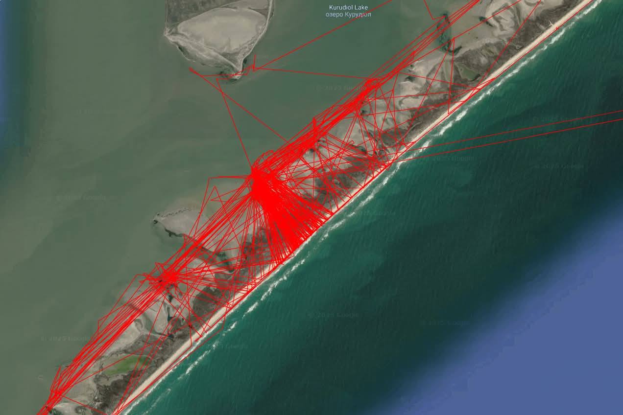 Візіком, maps API, карта,