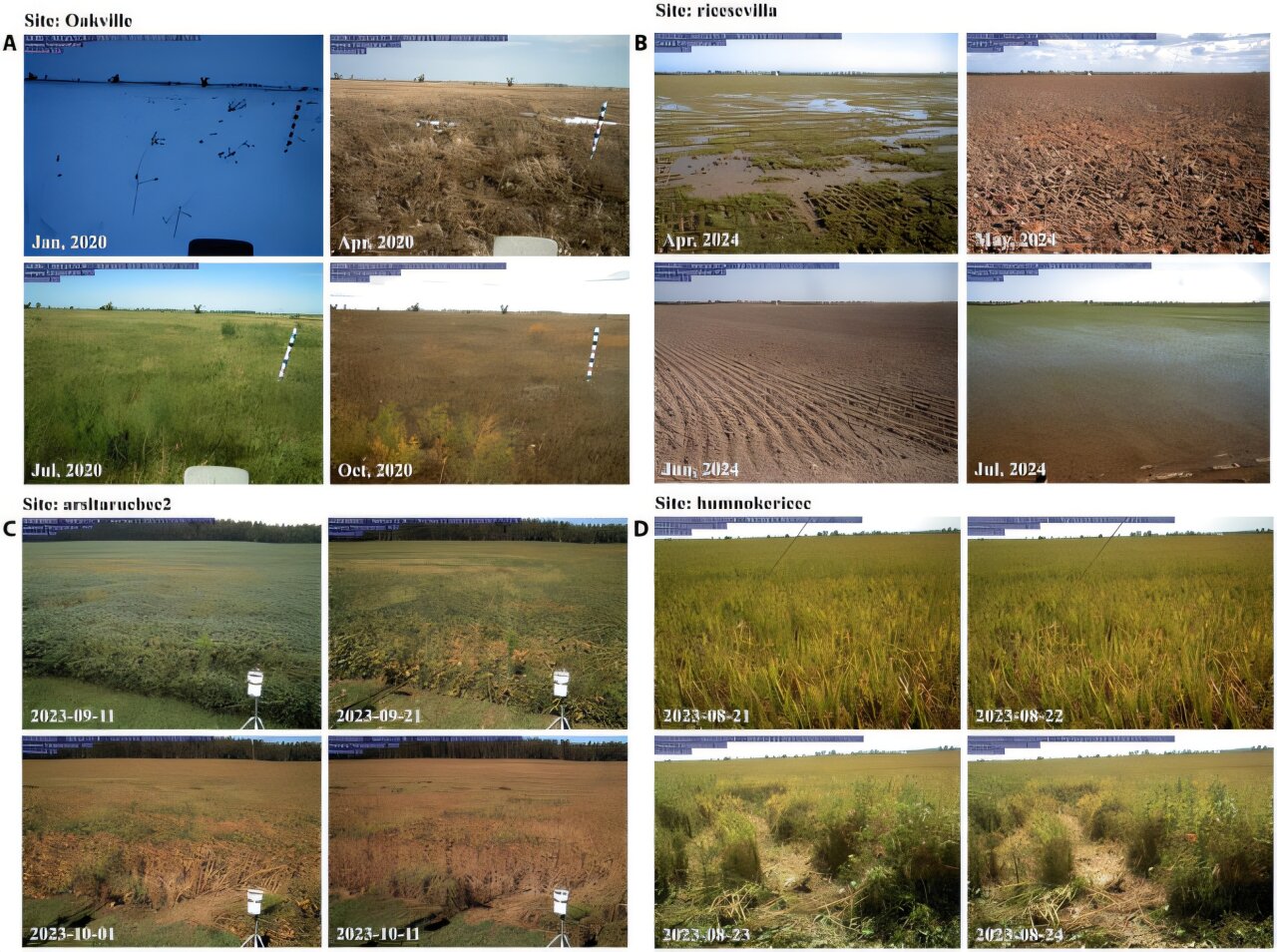 Візіком, maps API, карта,