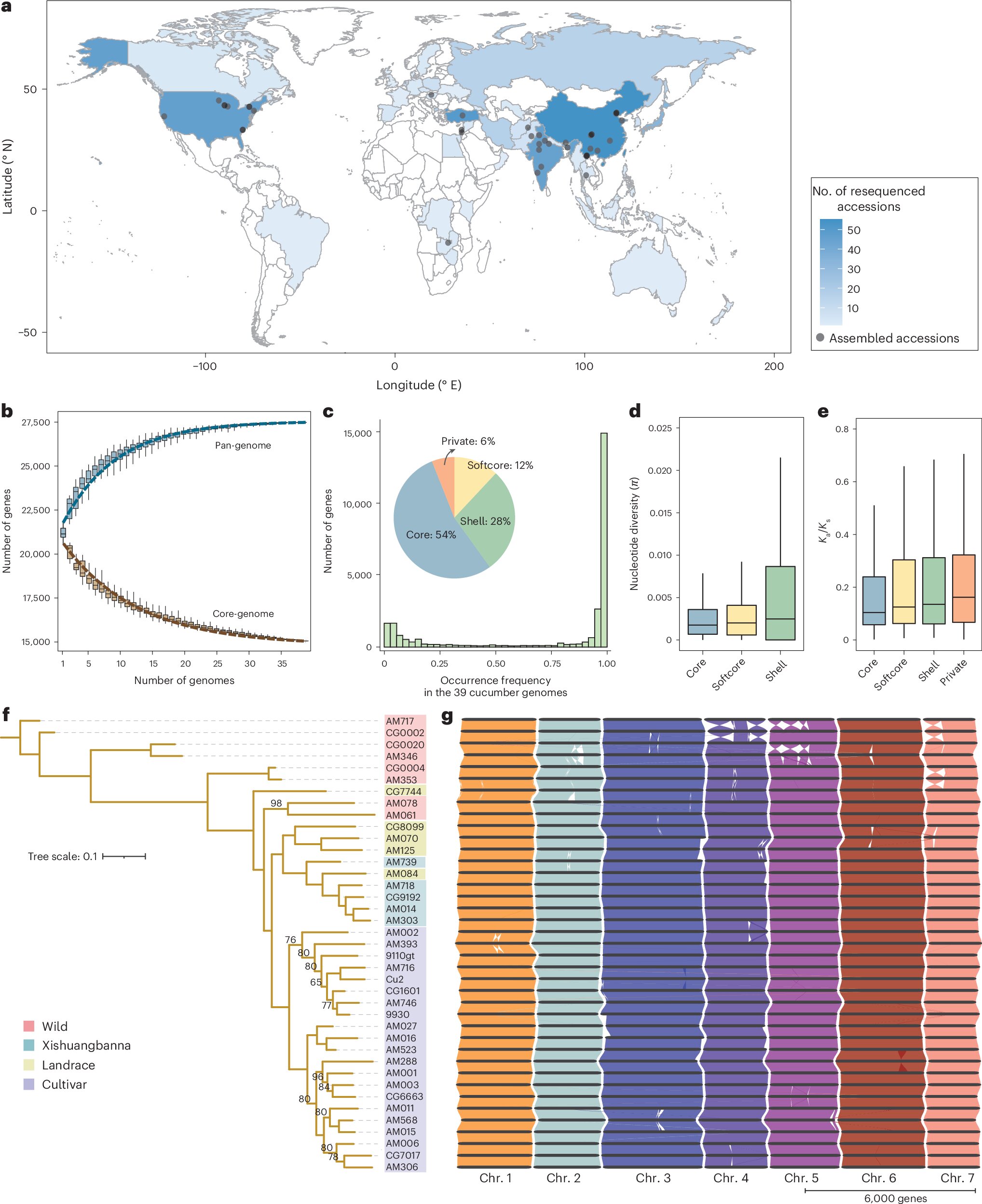 Візіком, maps API, карта,