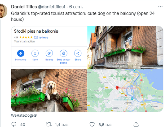 Візіком,  maps API, Google Maps, Гданськ, пес,