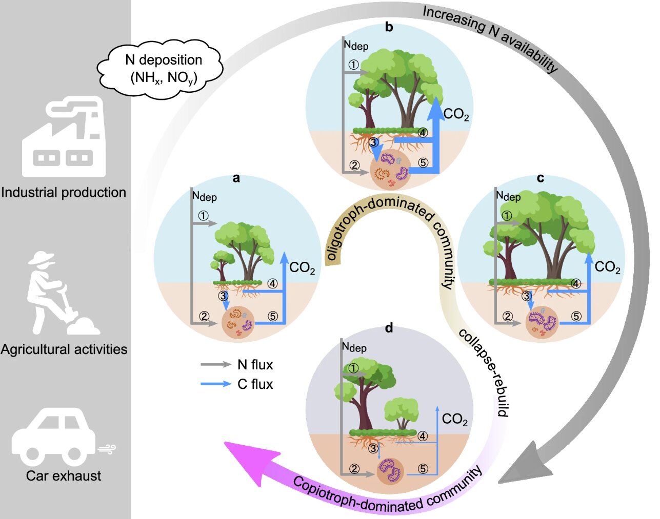 Візіком, maps API, карта,