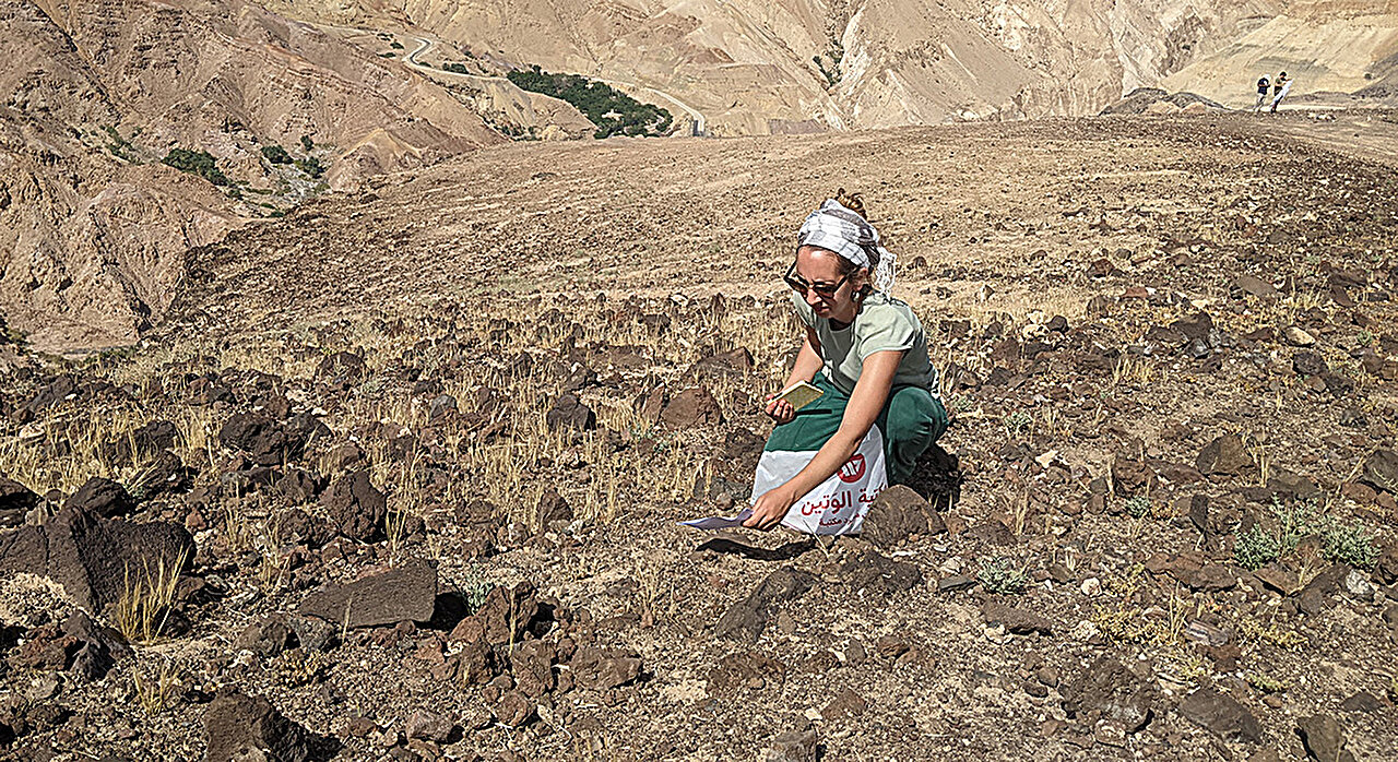 Візіком, maps API, карта,