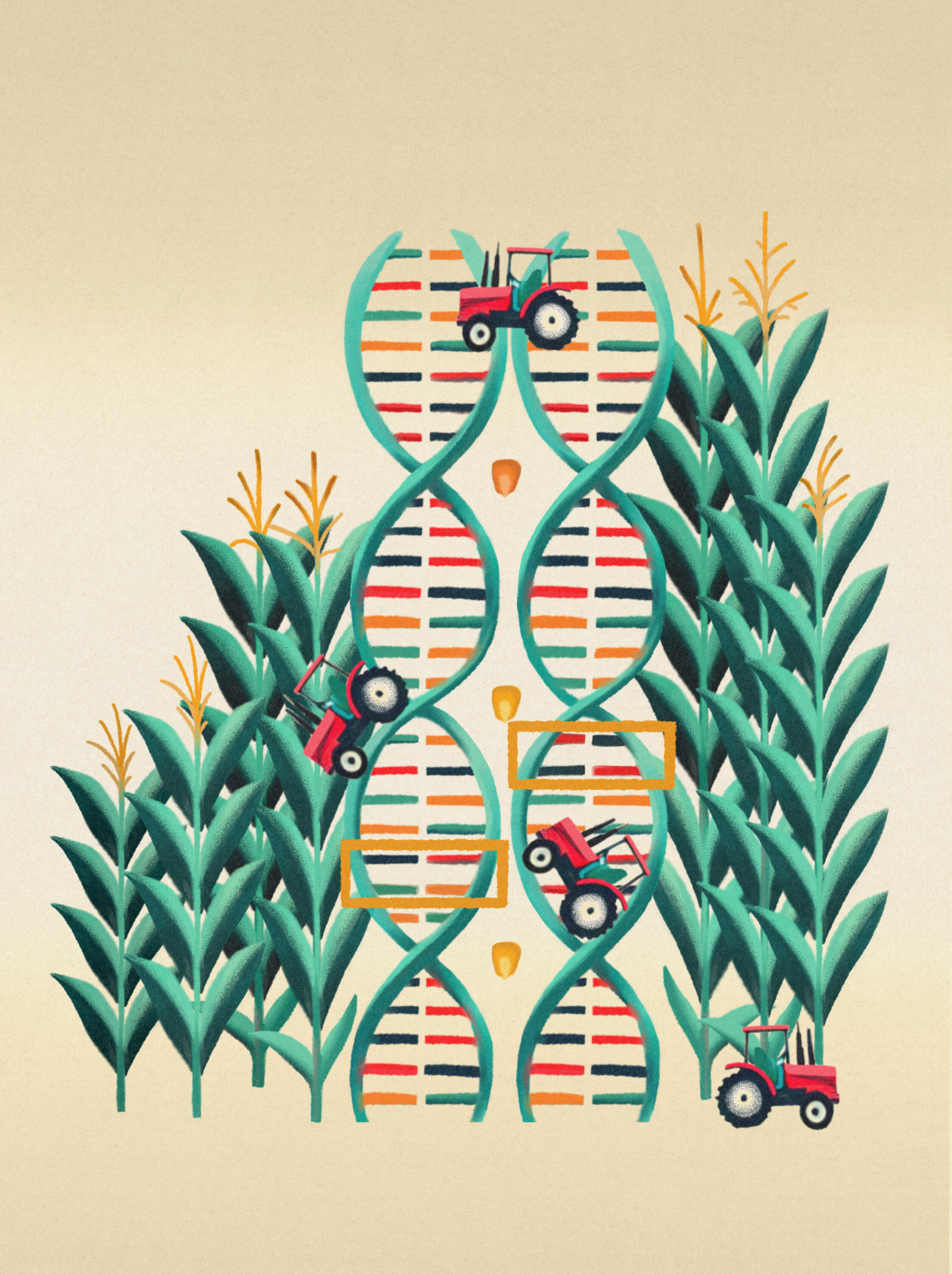 Візіком, maps API, карта,