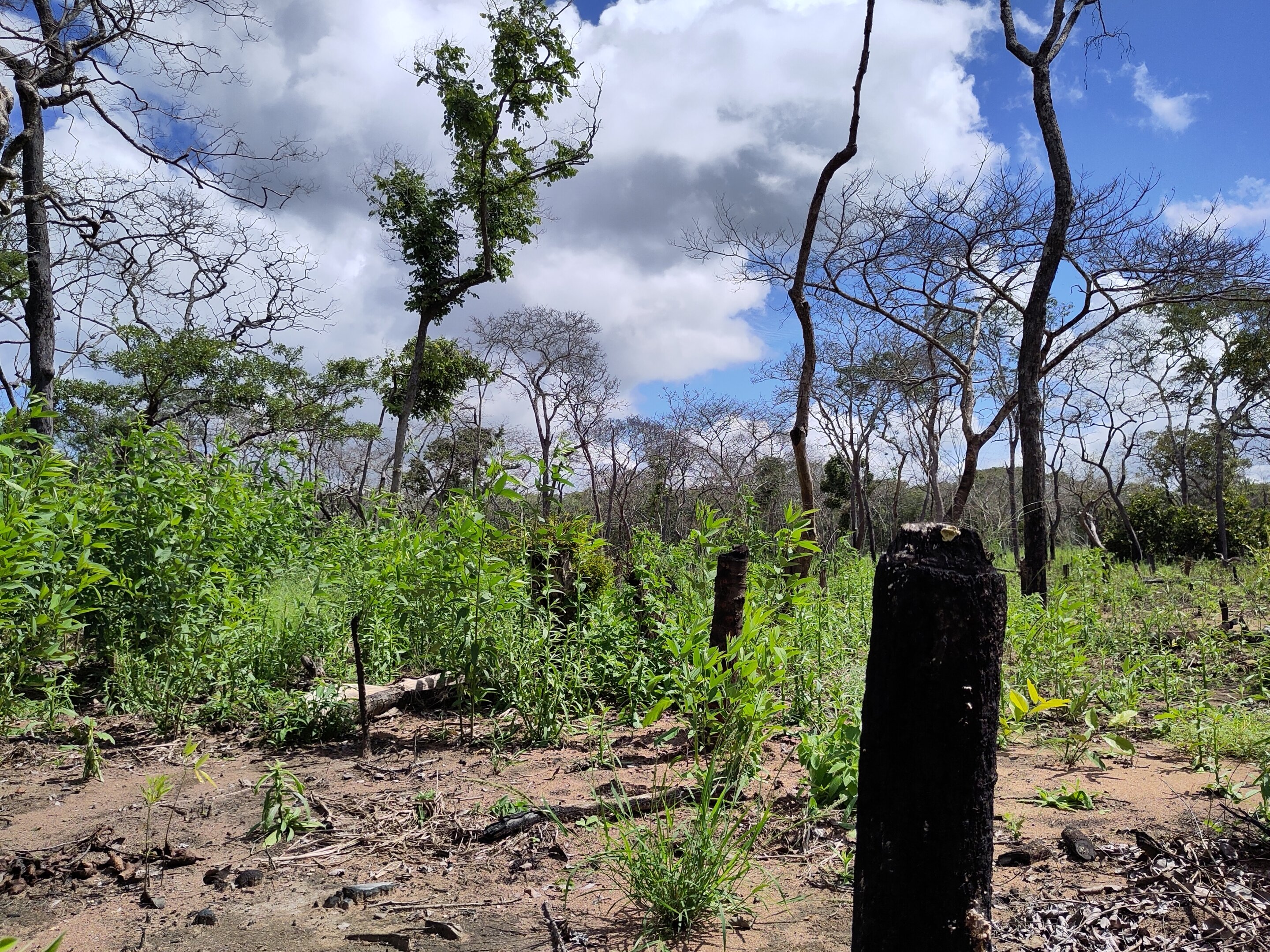 Візіком, maps API, карта,