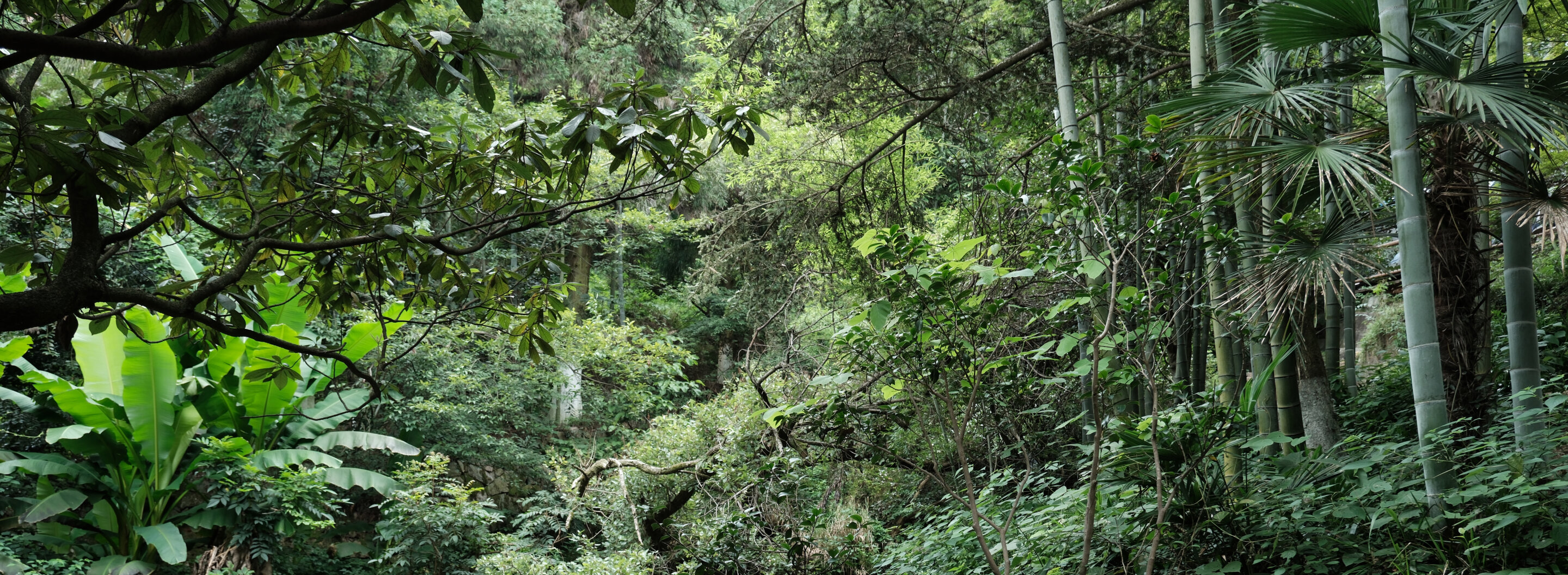 Візіком, maps API, карта,