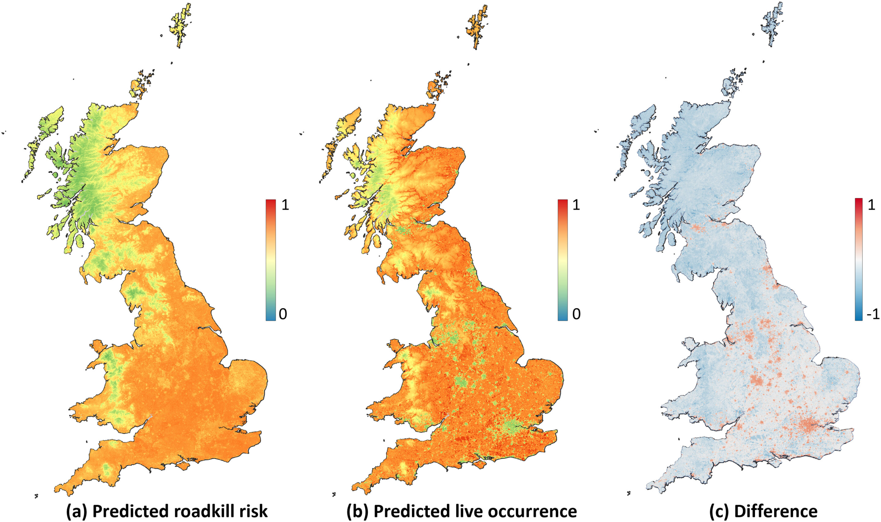 Візіком, maps API, карта,