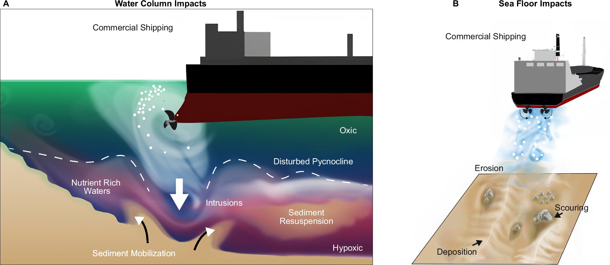 Візіком, maps API, карта,