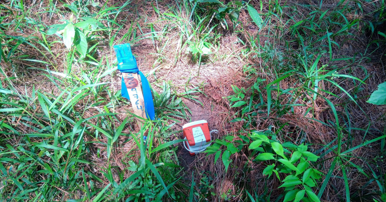 Візіком, maps API, карта,