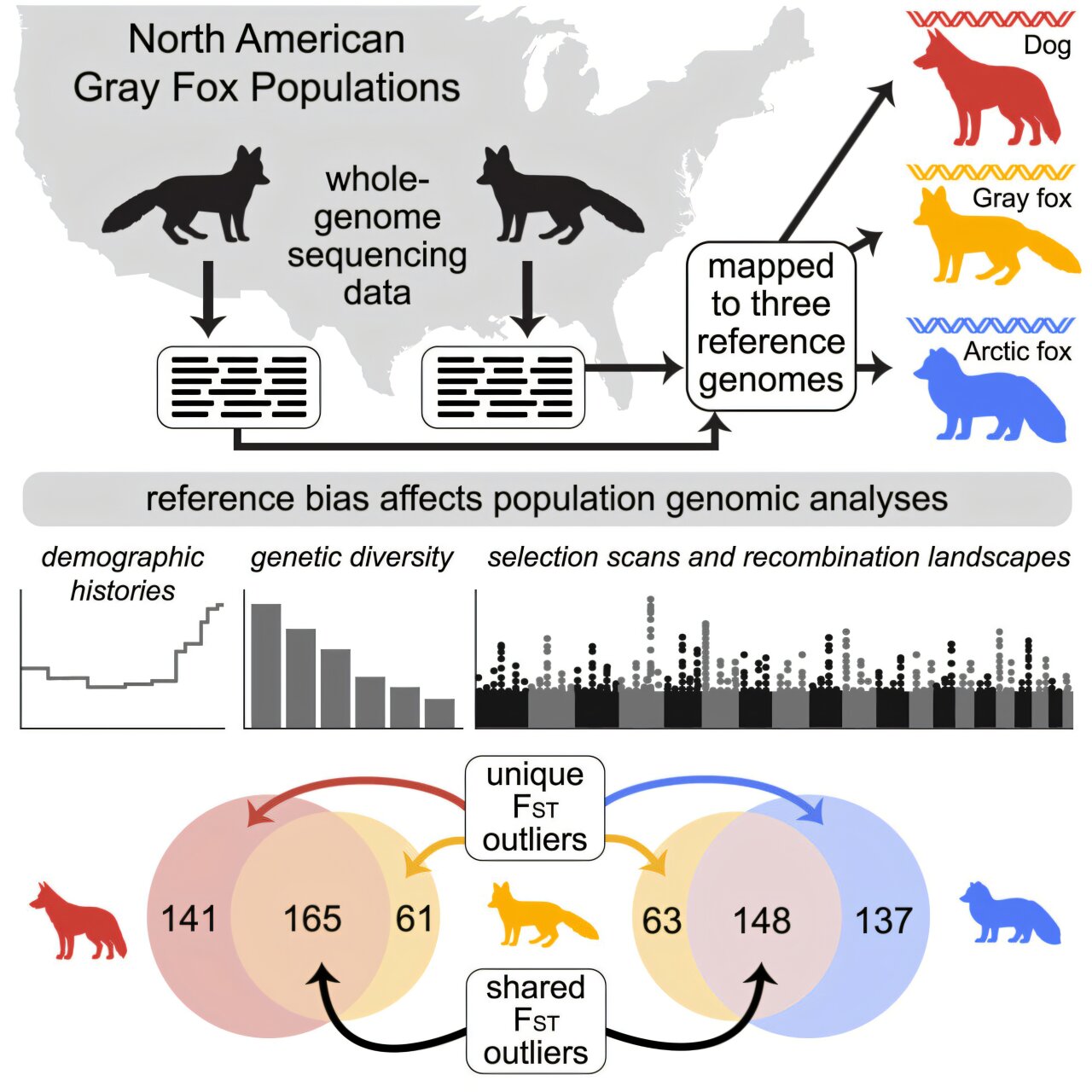 Візіком, maps API, карта,